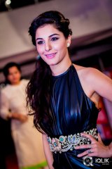 SIIMA Awards 2014